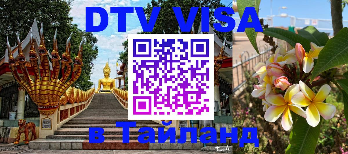 Оформление DTV визы под ключ: стоимость и тарифы, только загранпаспорт - 19.11.2025 